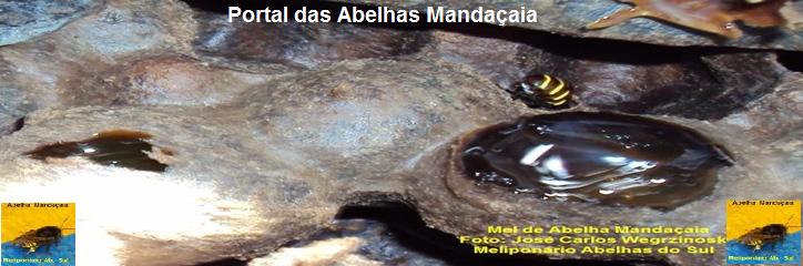 = PÓRTAL DAS  ABELHAS MANDAÇAIA =