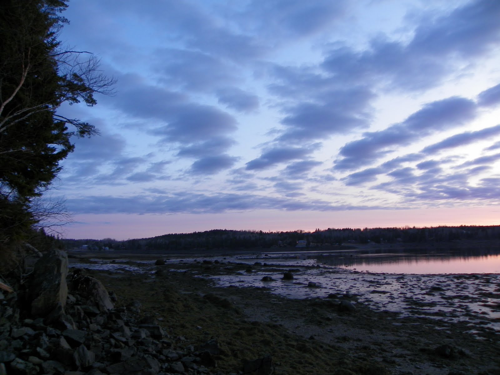 The Adventures of Joshua and Tilley Spoon Island Sunrise, Part 2