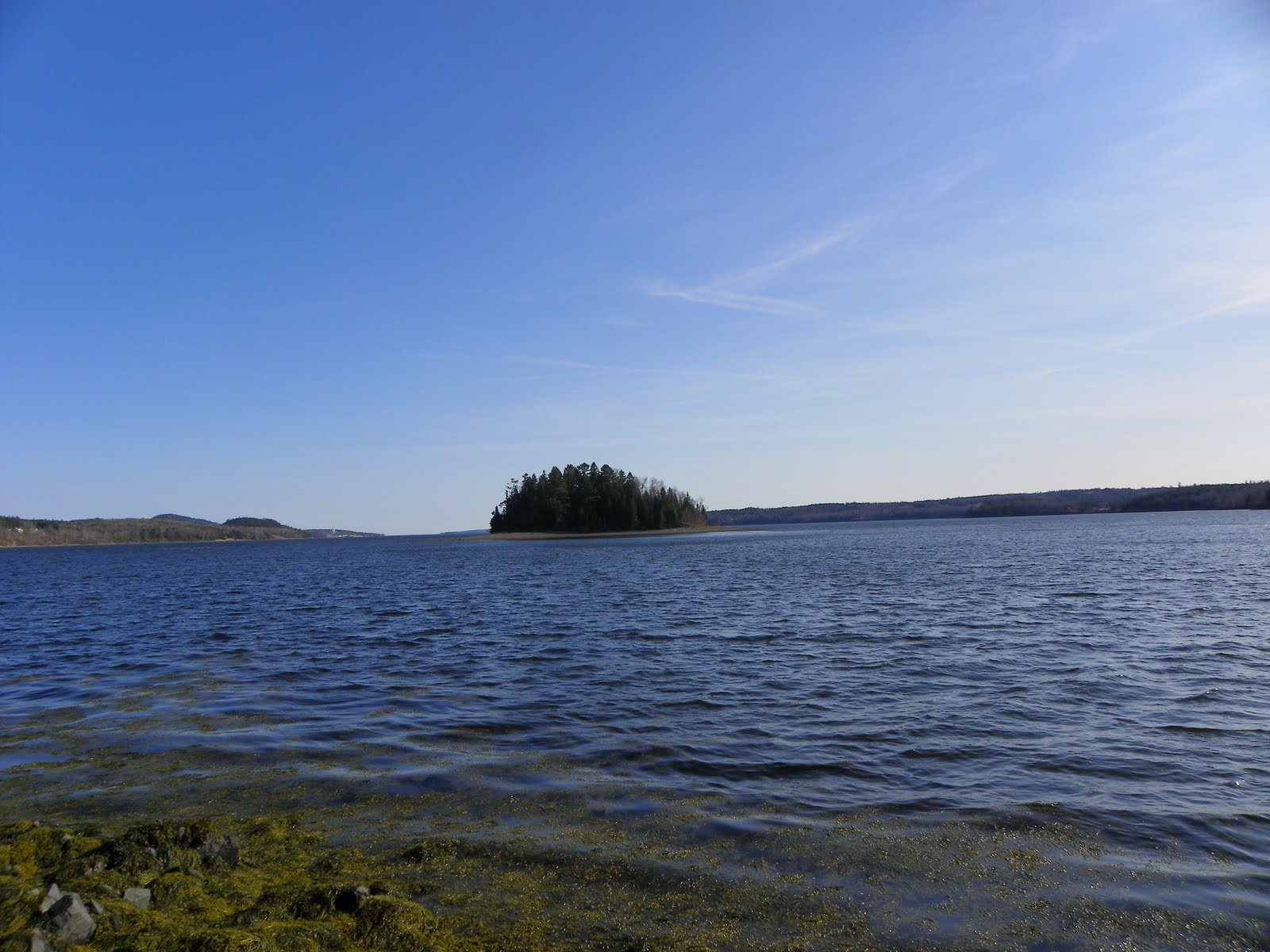 The Adventures of Joshua and Tilley Spoon Island Evening Hike, Part 2