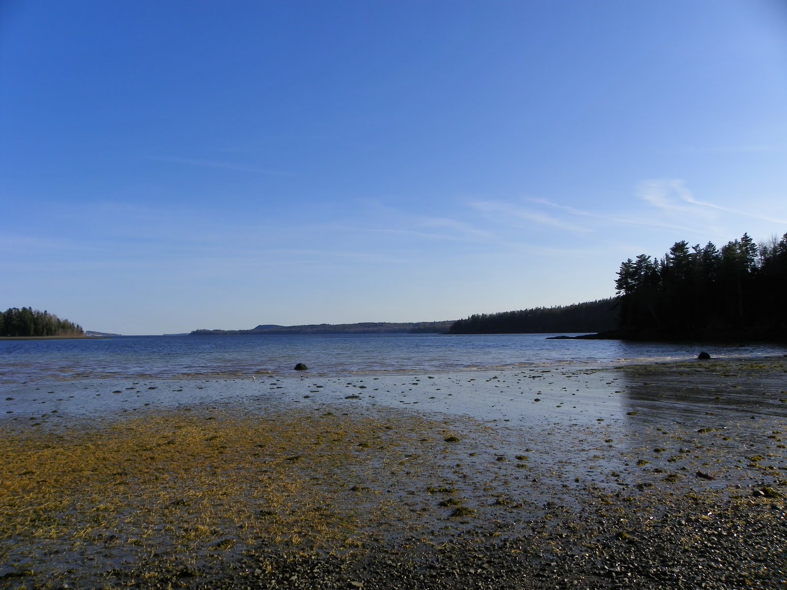 The Adventures of Joshua and Tilley Spoon Island Evening Hike, Part 3