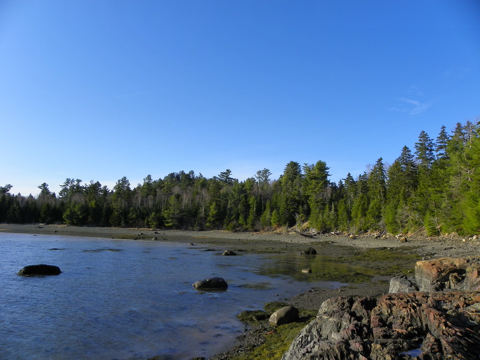 The Adventures of Joshua and Tilley Spoon Island Evening Hike, Part 3