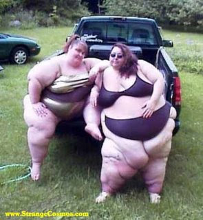 GORDAS1.jpg