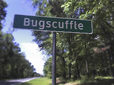 Broadcasting Live from    Bugscuffle, Texas