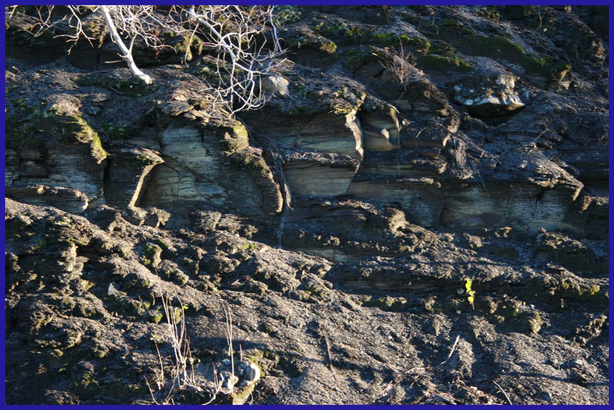 NY Shale Gas Now! Contentious Bedrock Photos of Marcellus Shale From