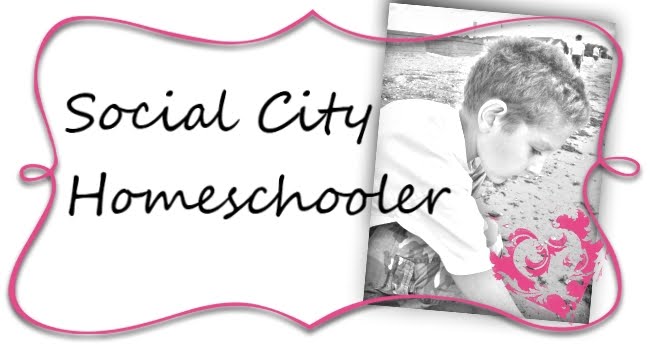 Social City Homeschooler