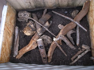 [R0013110.jpg]