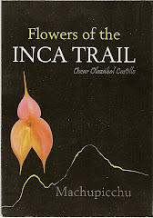 Inca Trail