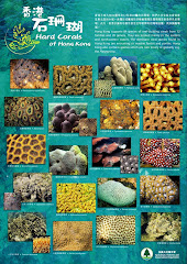 a coral poster