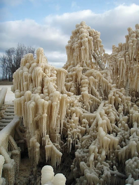 ice storm sculptures