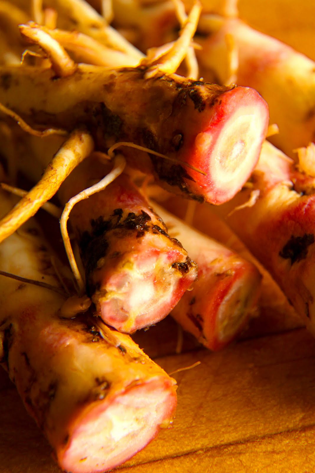 Wild About Evening Primrose Root (Evening Primrose Root Gratin and