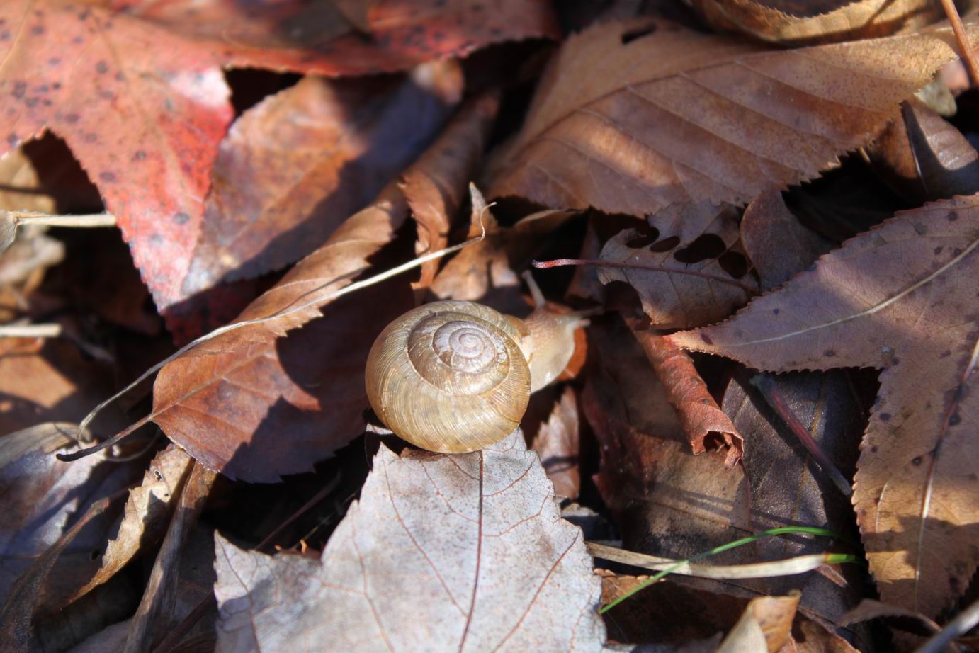 Cold Weather Making you Sluggish?