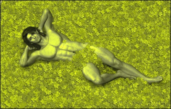 [display_1780269++homem+verde.jpg]