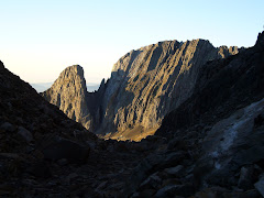 AGUJAS DEL FORCAU