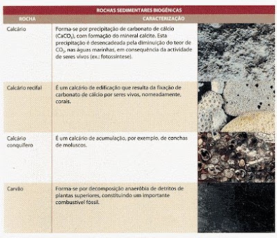 O mundo presente na Biologia e Geologia: Rochas Sedimentares ...
