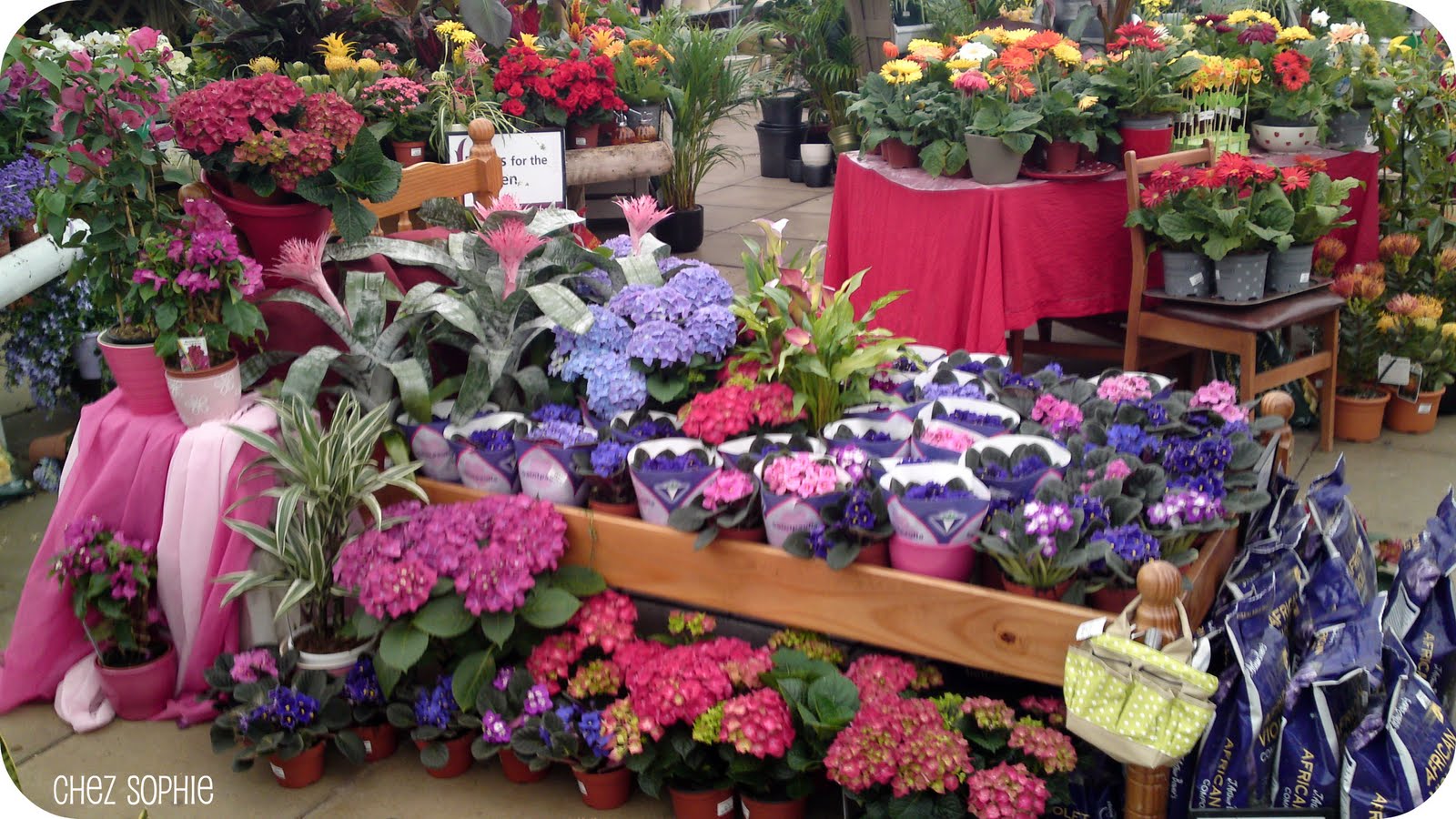 Chez Sophie Alternative Flower Beds!!!!