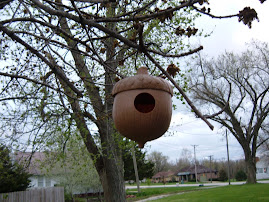 A Birdie's Nut House!