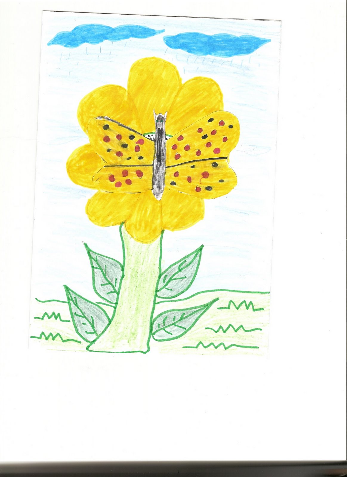 [Digitalizar0005.jpg]