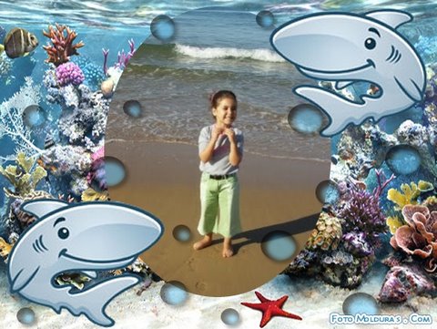 [scrapeenet_20091014200638TBV6.jpg]