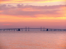 Bay Bridge 2010