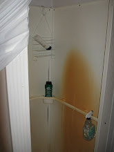 My Delta House shower
