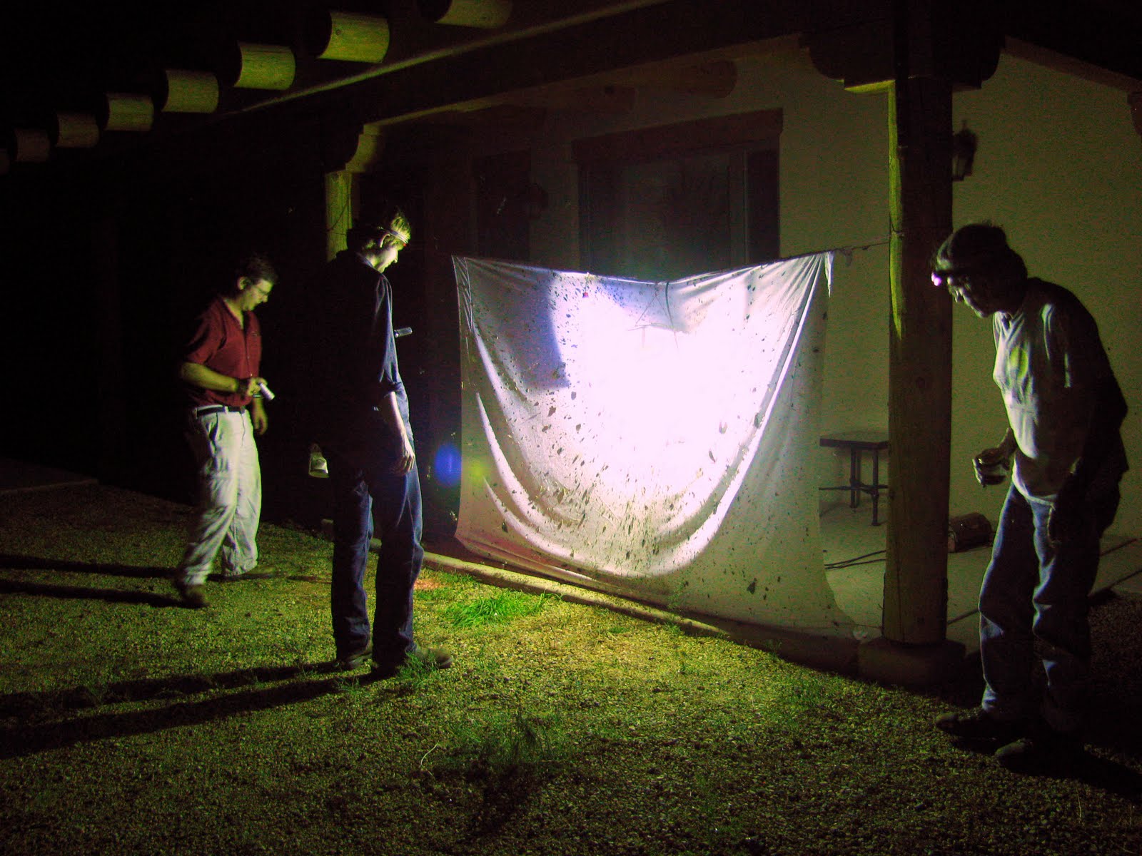 Blogging from the Boot Heel August 2010