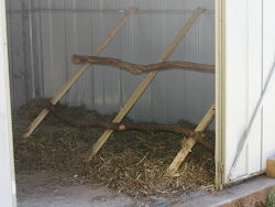 chicken coop roost plans perch build plan ana roosts playhouse retrofit pt idea