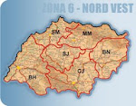 Satu mare
