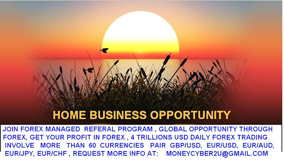 FOREX HOME BASE BUSINESS GLOBAL