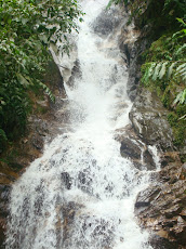 Varias cascadas conocidas como "Las tres gracias" y todo tipo de serpenteantes senderos.