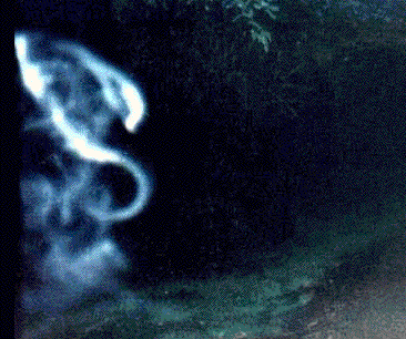 [8.gif]