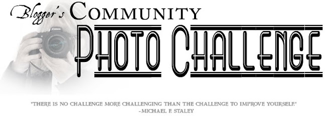 Bloggers Community Photo Challenge