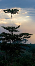 Gbarnga Liberia