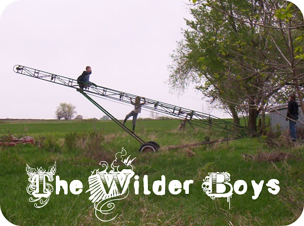 The Wilder Boys