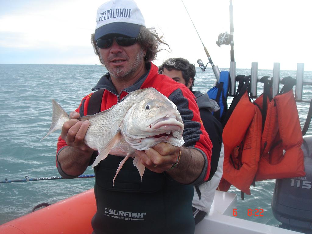 Lobo de Mar: EN BÚSQUEDA DE LAS RUBIAS GORDAS