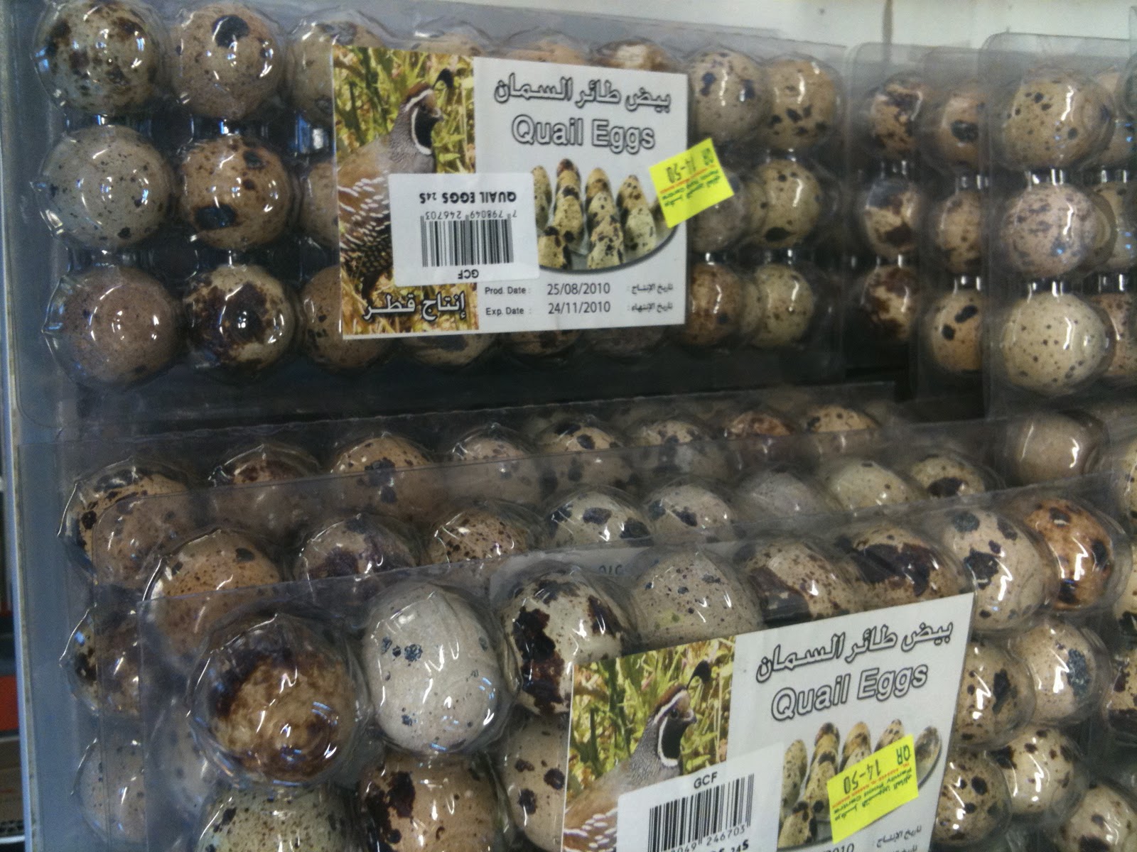 A Little Oryx in Qatar Quail Eggs