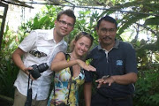 Butterfly Park