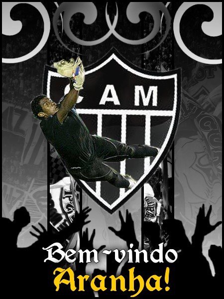 [ARANHA.jpg]