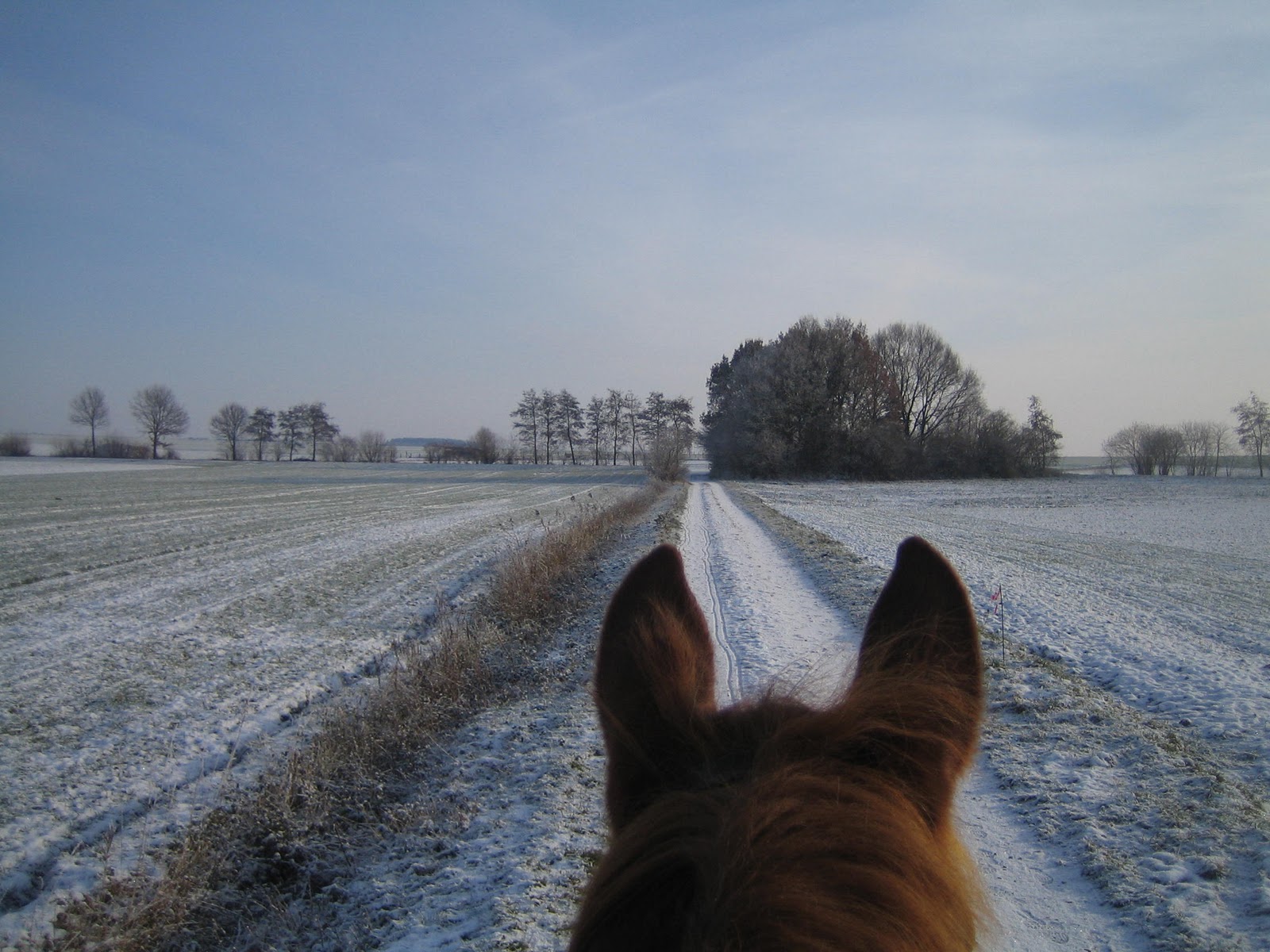 Yvonne's Blog: Der Winter ist da&hellip;