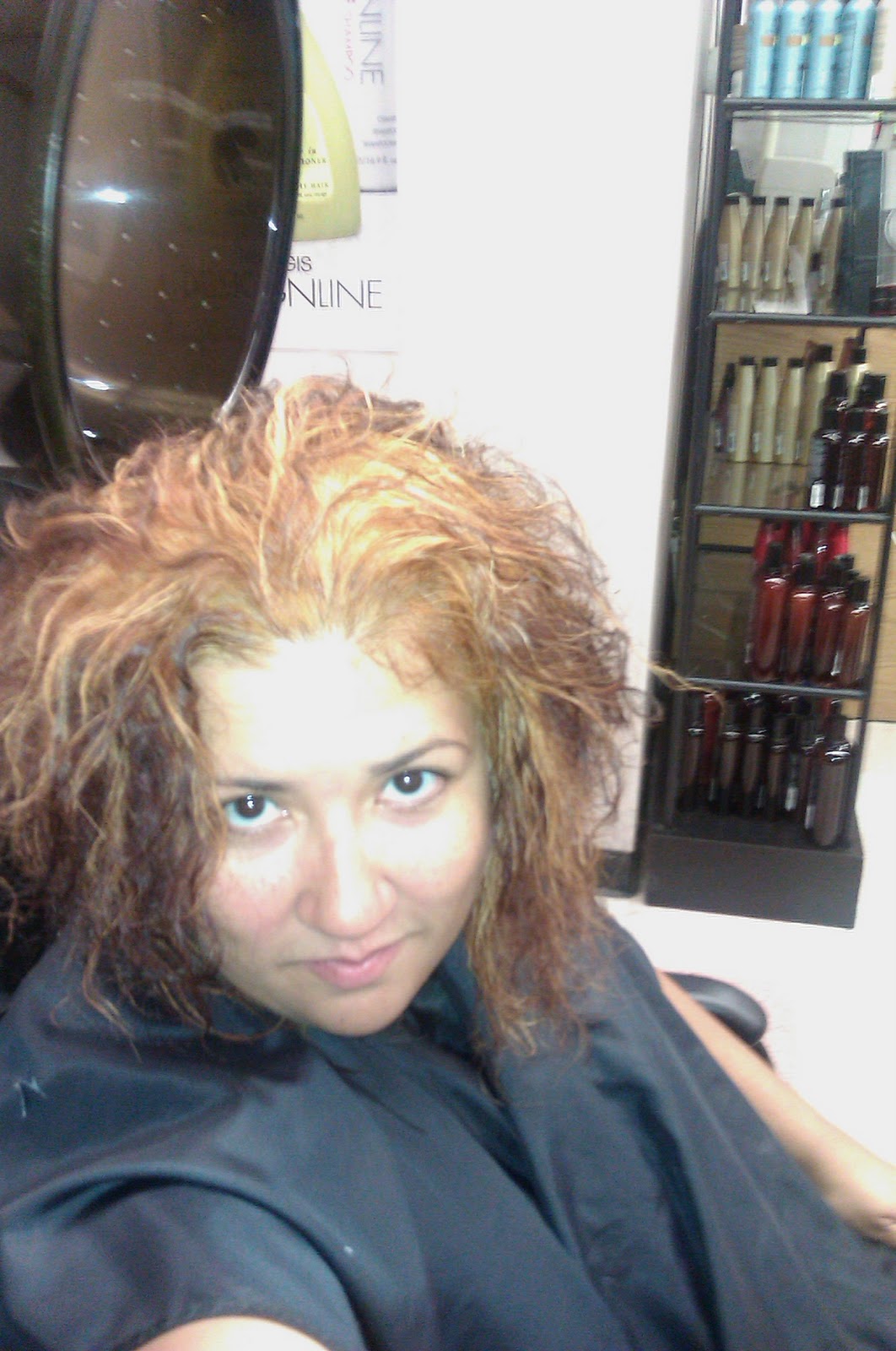 Beauty by Gisell Do you have FRIED HAIR?