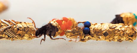 art&insects: Hubert Duprat