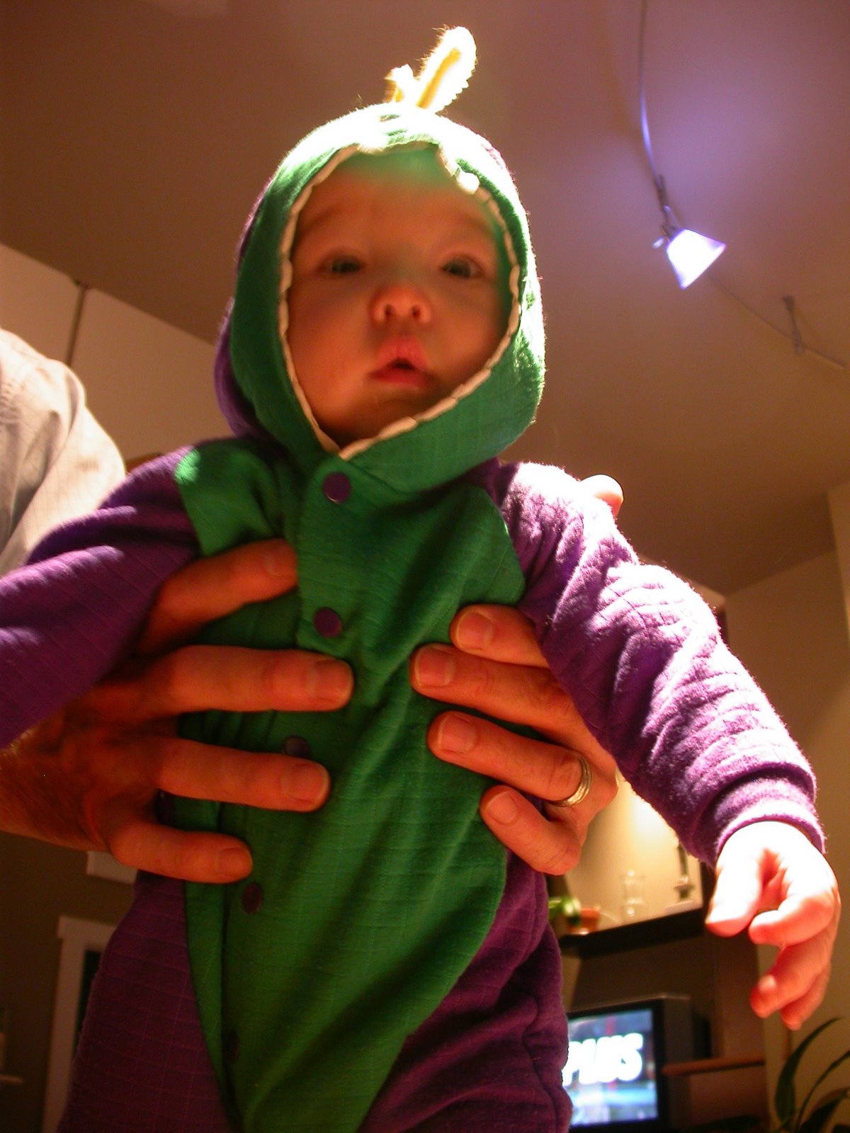 [DSCN0028.JPG]