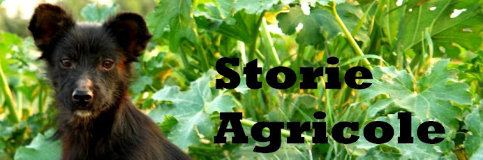 Storie Agricole