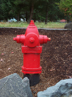 Fire Hydrant, Clackamas, Oregon