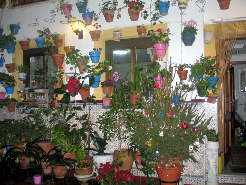 [IMG_0511.JPG]