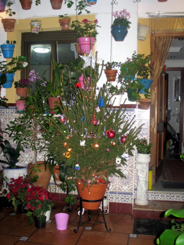 [IMG_0510.JPG]
