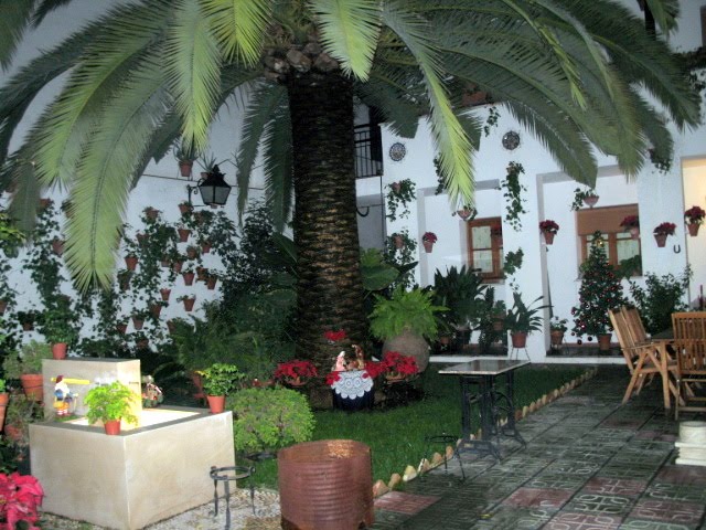 [IMG_0508.JPG]