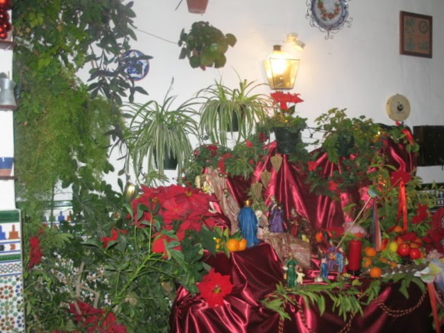 [IMG_0505.JPG]
