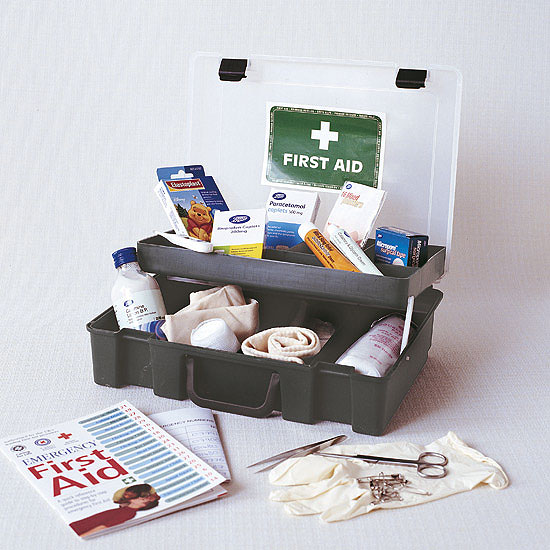 First Aid Kit untuk kucing  My Dearcats DC