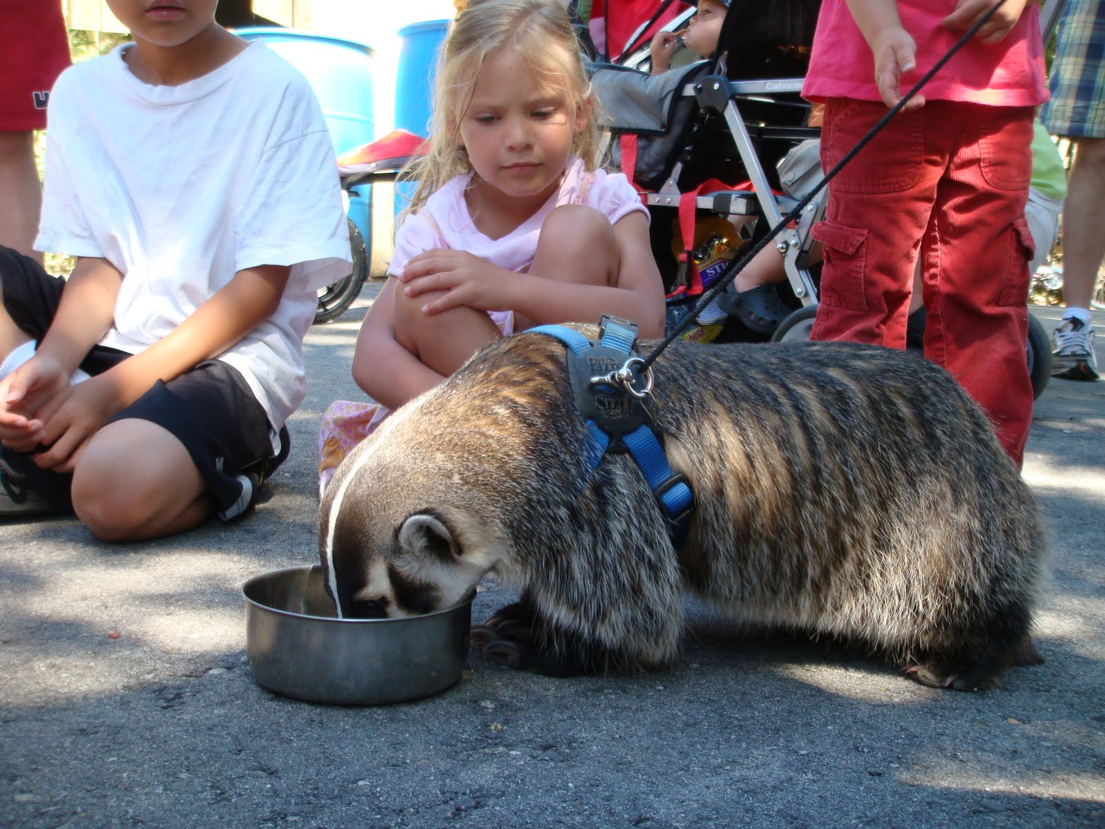 Lots of Good Fun That is Funny! visit to the boise zoostill playing