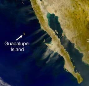 [Guadalupe_map.jpg]